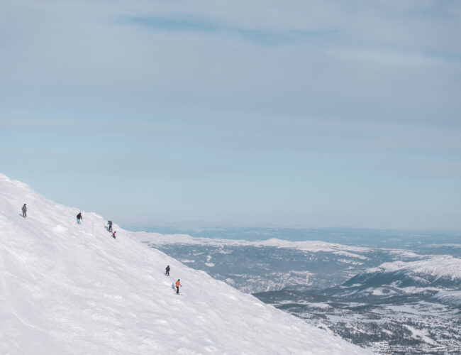 SCO 17 02 24277349 Edit 2